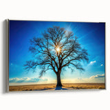 Majestic Tree & Sunburst – Fine Art Nature Photography Print