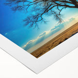 Majestic Tree & Sunburst – Fine Art Nature Photography Print