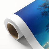 Majestic Tree & Sunburst – Fine Art Nature Photography Print