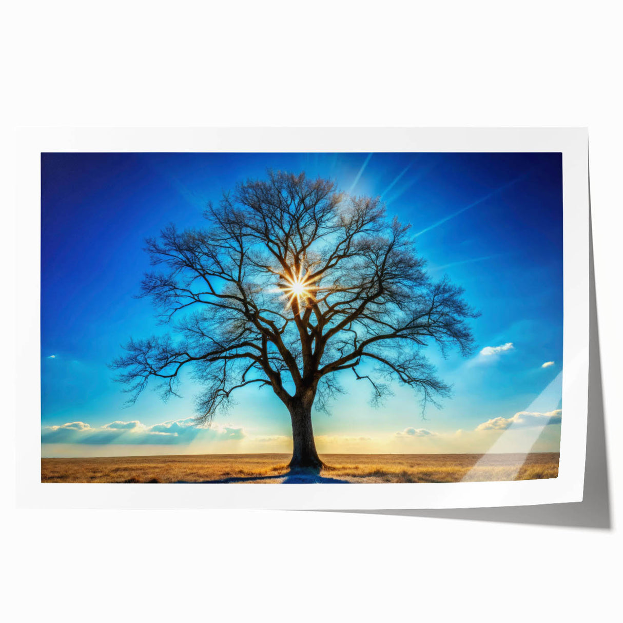 Majestic Tree & Sunburst – Fine Art Nature Photography Print