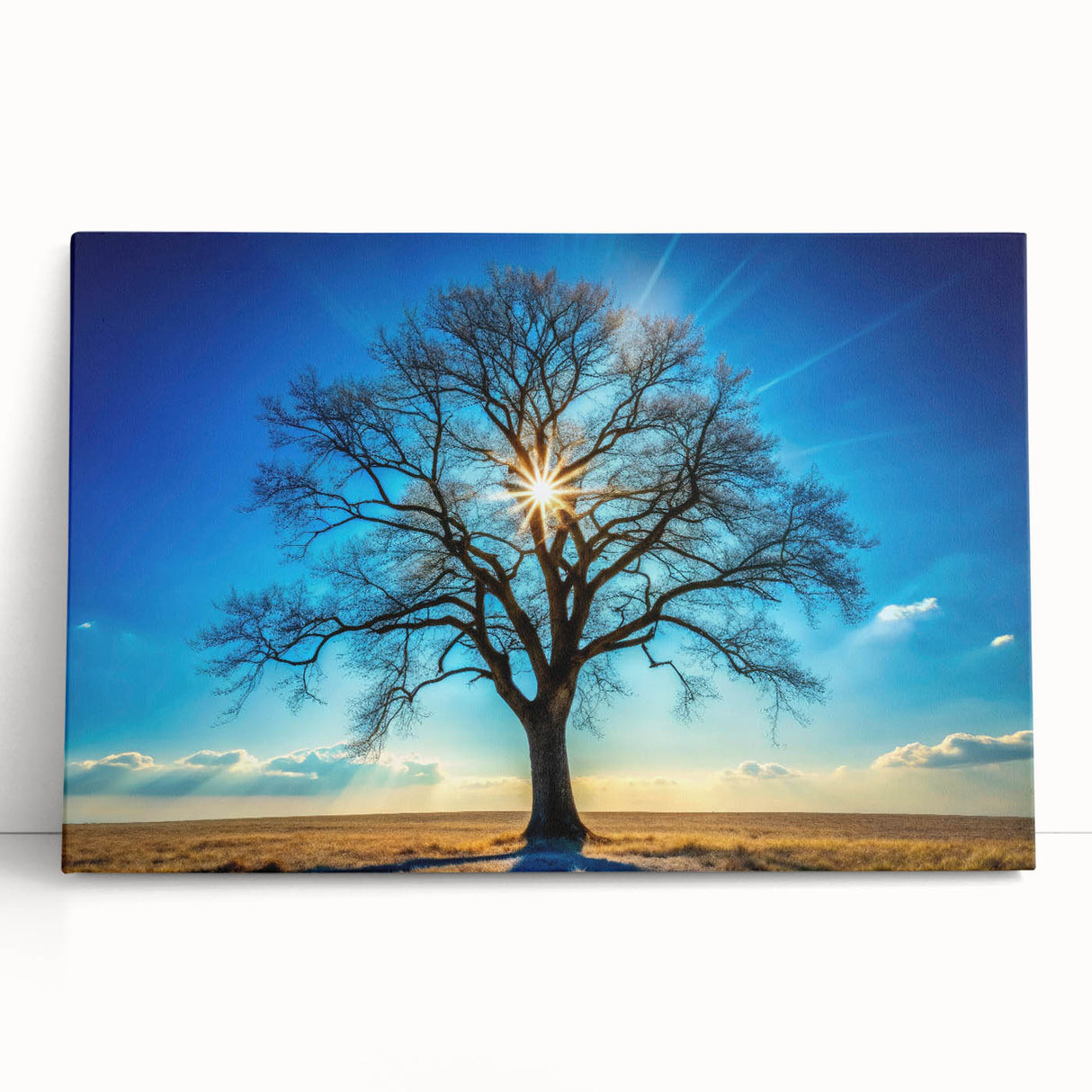 Majestic Tree & Sunburst – Fine Art Nature Photography Print