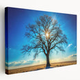 Majestic Tree & Sunburst – Fine Art Nature Photography Print