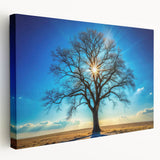 Majestic Tree & Sunburst – Fine Art Nature Photography Print