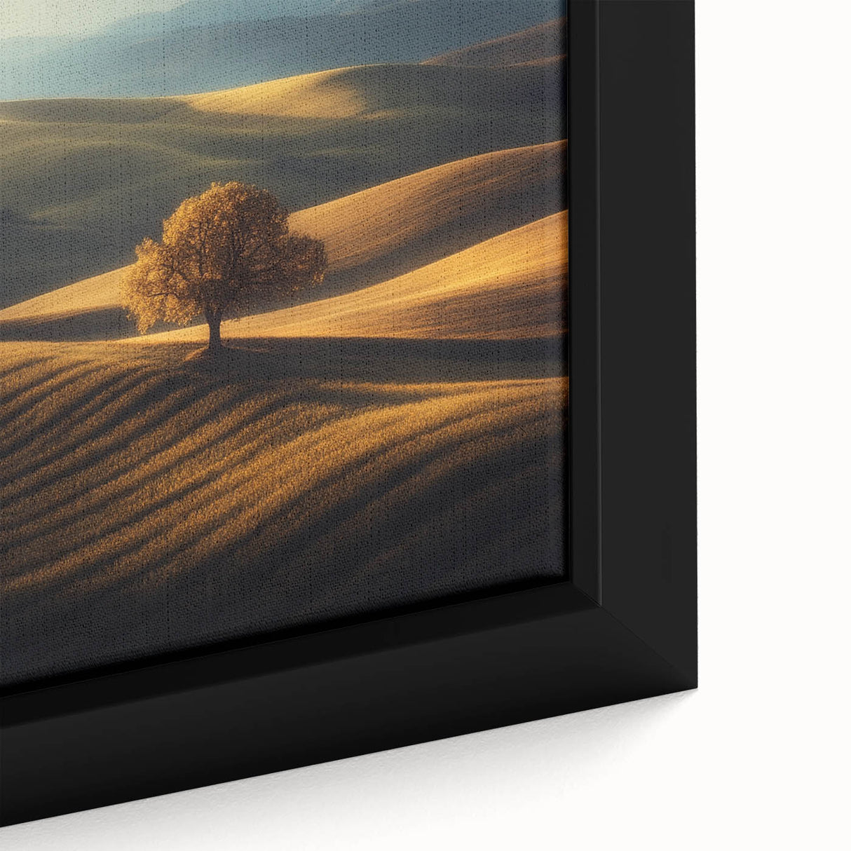 Golden Hills – Fine Art Photography of a Serene Landscape