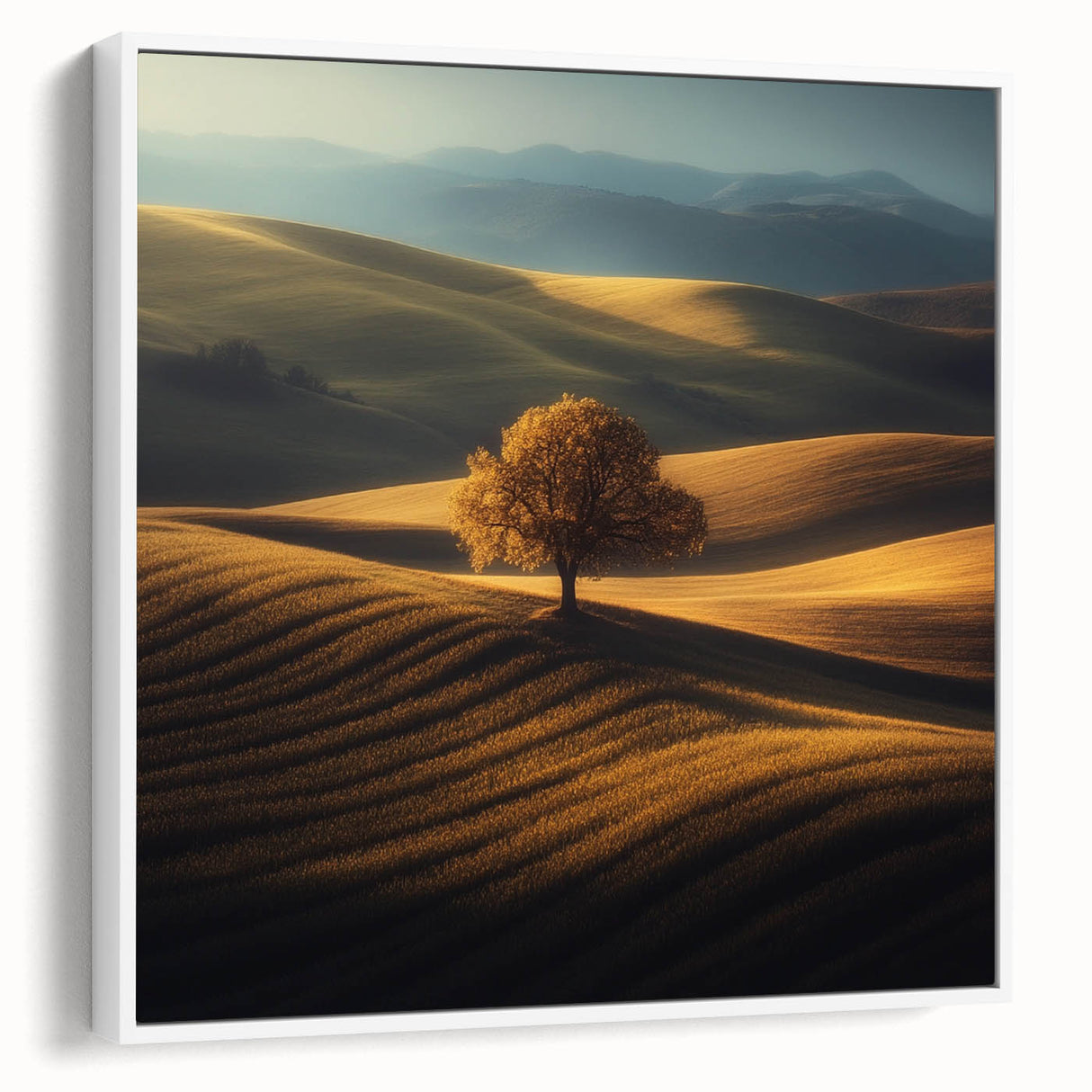 Golden Hills – Fine Art Photography of a Serene Landscape