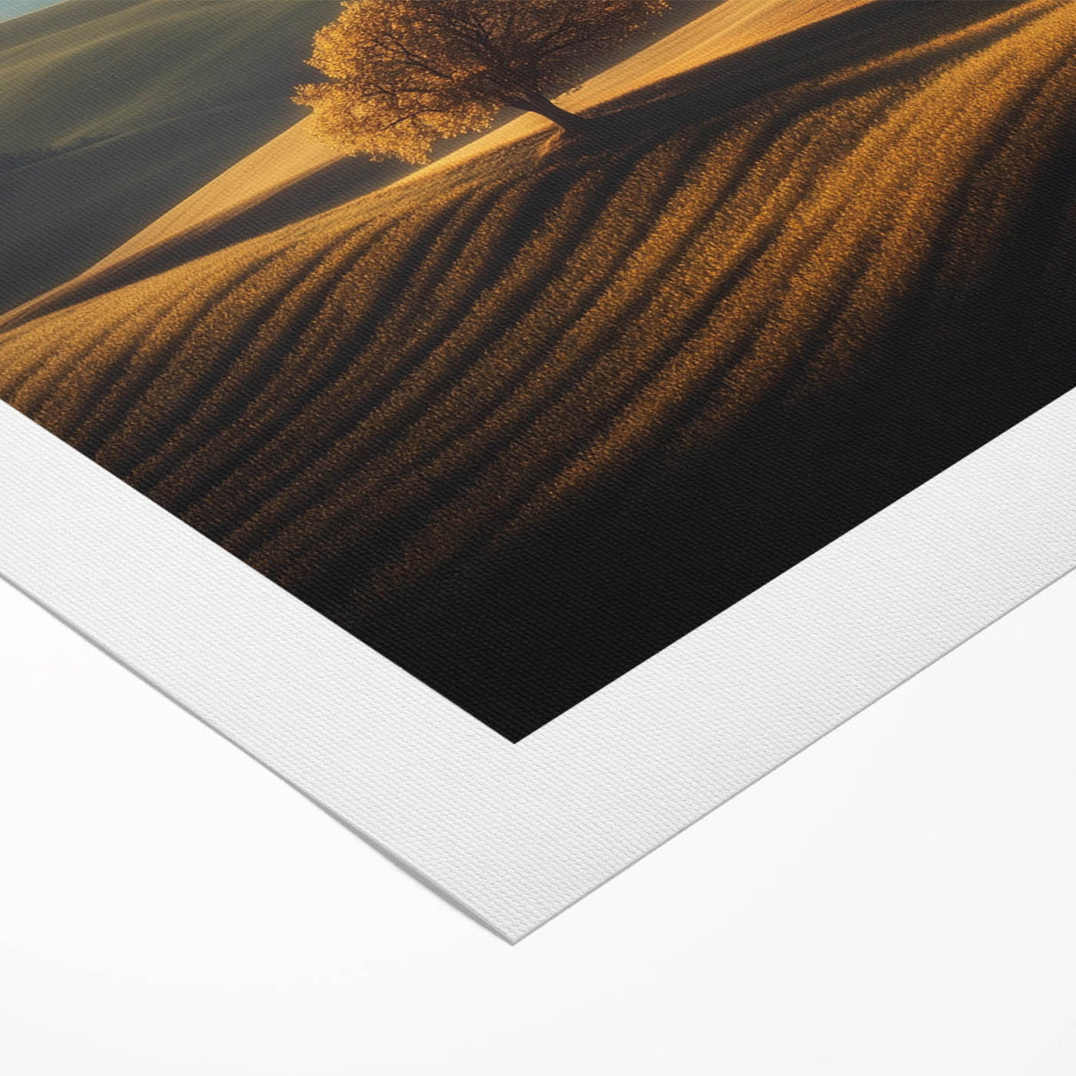 Golden Hills – Fine Art Photography of a Serene Landscape