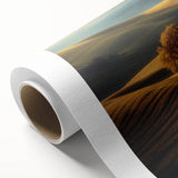 Golden Hills – Fine Art Photography of a Serene Landscape