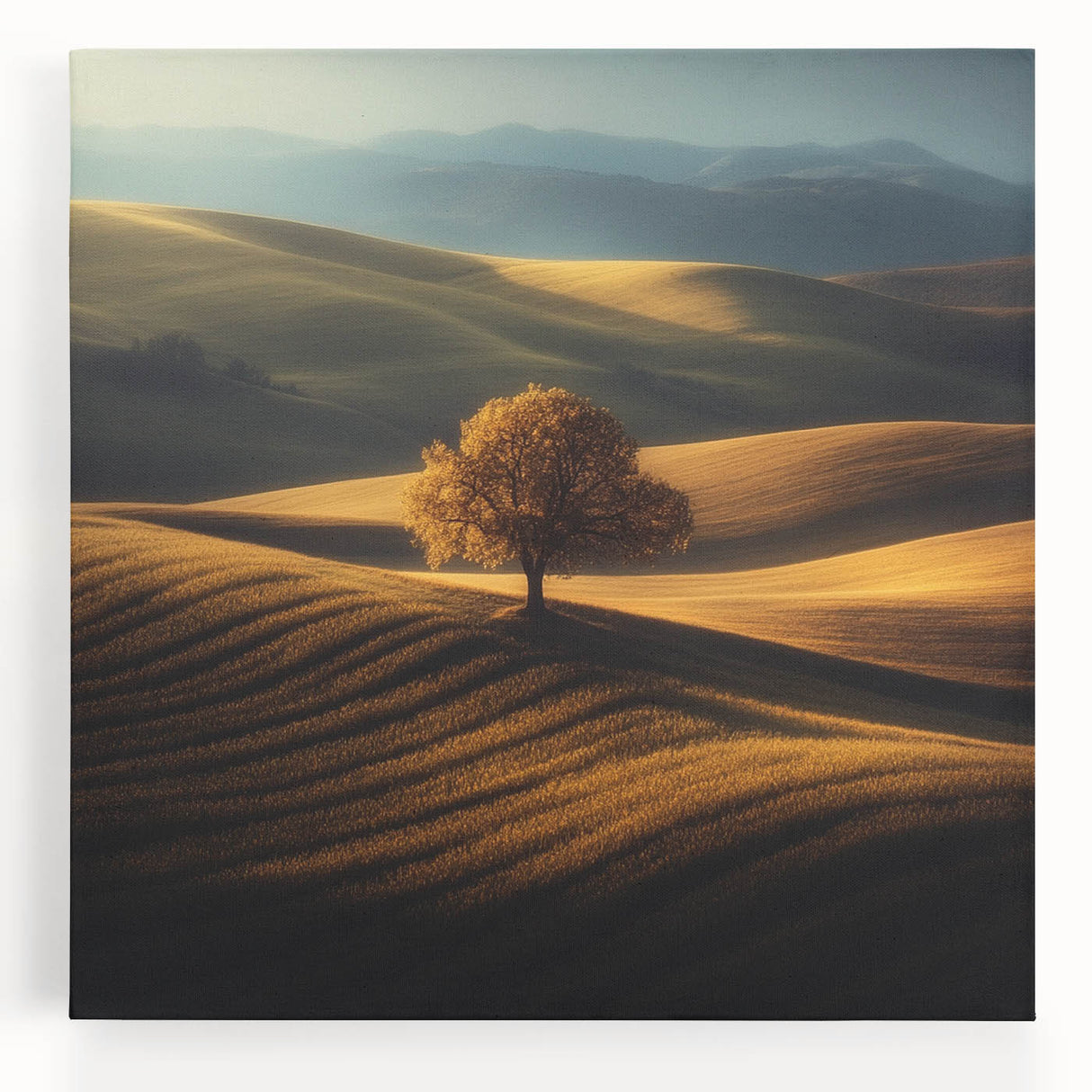Golden Hills – Fine Art Photography of a Serene Landscape