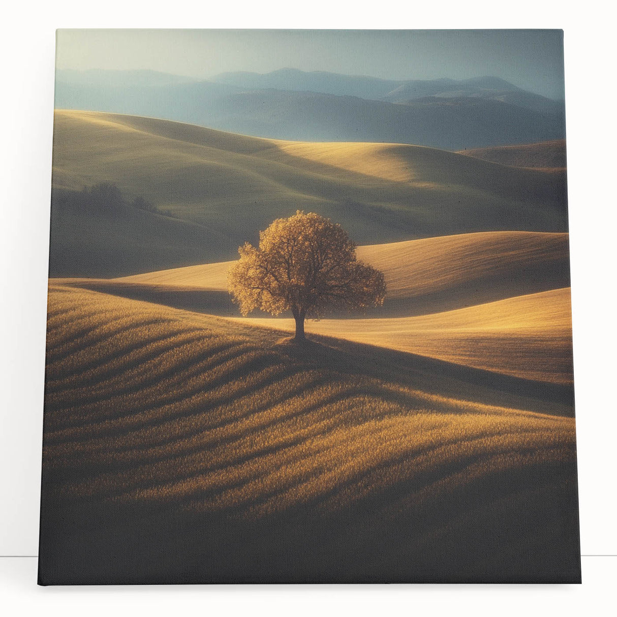 Golden Hills – Fine Art Photography of a Serene Landscape