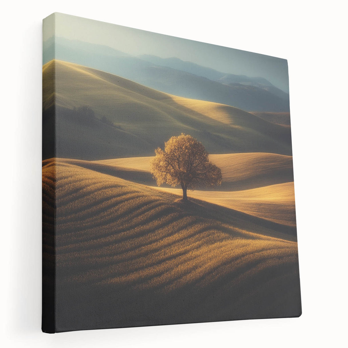 Golden Hills – Fine Art Photography of a Serene Landscape