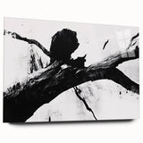 Bold Black and White Abstract Wall Art - Organic Expression Canvas