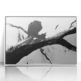 Bold Black and White Abstract Wall Art - Organic Expression Canvas
