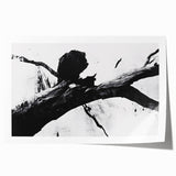 Bold Black and White Abstract Wall Art - Organic Expression Canvas