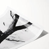 Bold Black and White Abstract Wall Art - Organic Expression Canvas