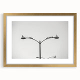 High-Quality Urban Photography Prints – Minimalist City Art