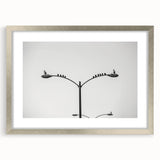 High-Quality Urban Photography Prints – Minimalist City Art