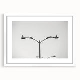 High-Quality Urban Photography Prints – Minimalist City Art