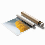 Golden Autumn Reflection – Forest & Landscape Art Prints