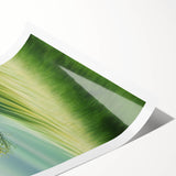 Dreamy Green Hills – Fine Art Nature Photography Print