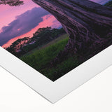 Majestic Twilight Tree – Scenic Forest & Landscape Art Prints