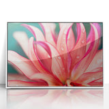 Dahlia Flower Macro - Fine Art Photography Limited Edition Prints