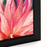 Dahlia Flower Macro - Fine Art Photography Limited Edition Prints