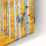 Golden Birch Forest – Autumn Landscape & Nature Art Prints