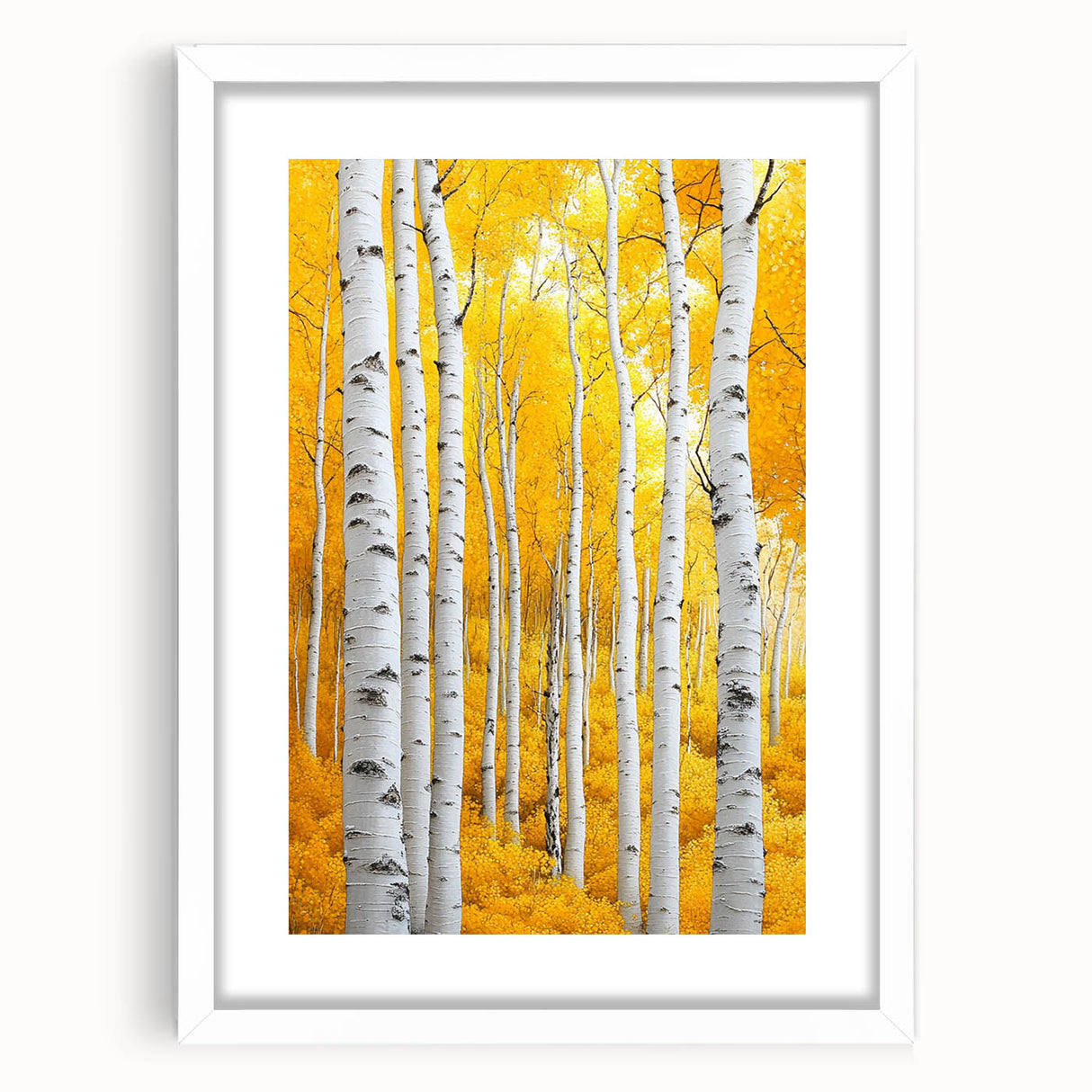 Golden Birch Forest – Autumn Landscape & Nature Art Prints