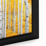 Golden Birch Forest – Autumn Landscape & Nature Art Prints