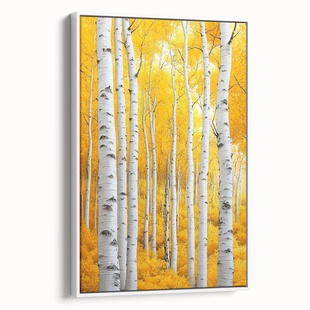 Golden Birch Forest – Autumn Landscape & Nature Art Prints