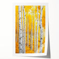 Golden Birch Forest – Autumn Landscape & Nature Art Prints