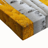 Golden Birch Forest – Autumn Landscape & Nature Art Prints