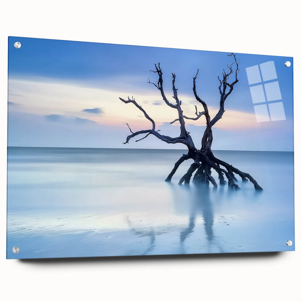 Driftwood Seascape - Fine Art Photography Framed Prints