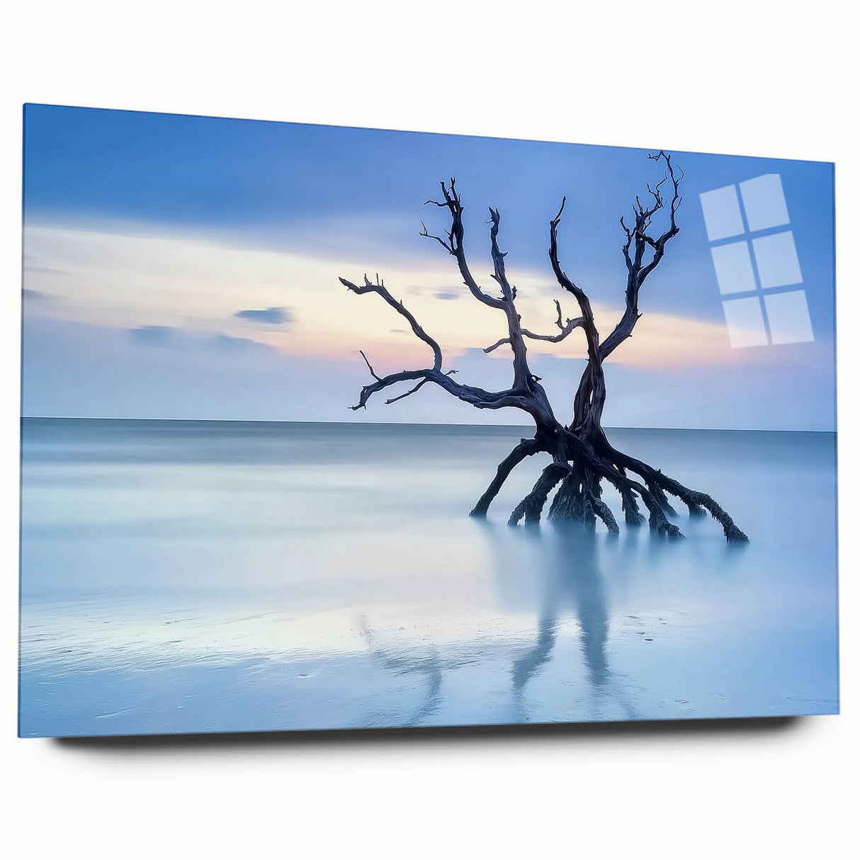 Driftwood Seascape - Fine Art Photography Framed Prints