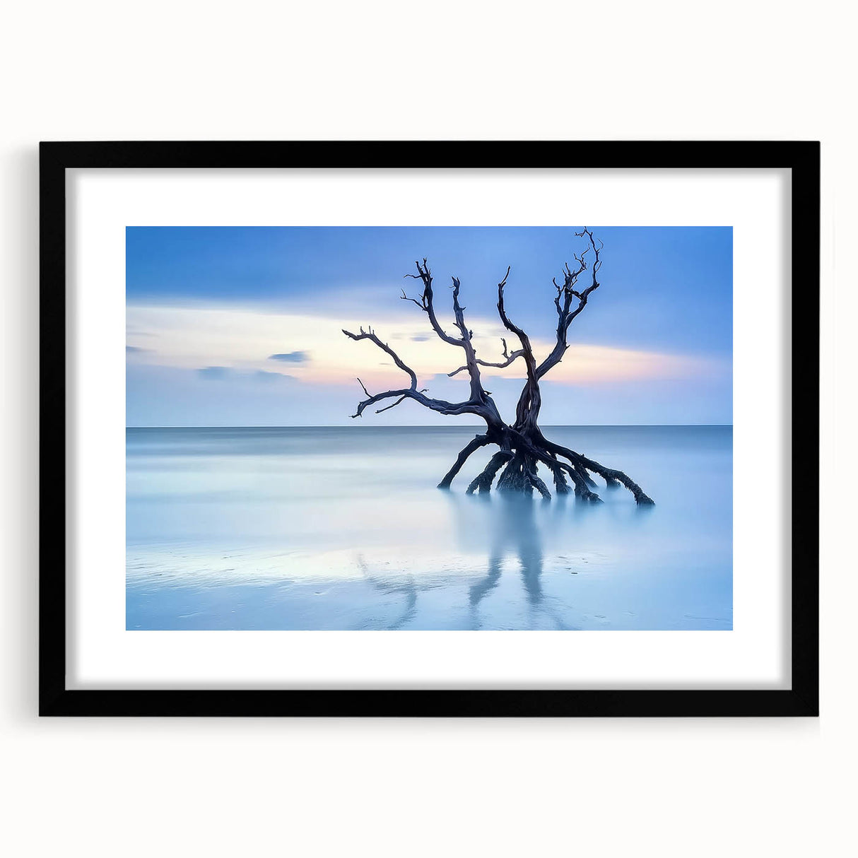 Driftwood Seascape - Fine Art Photography Framed Prints