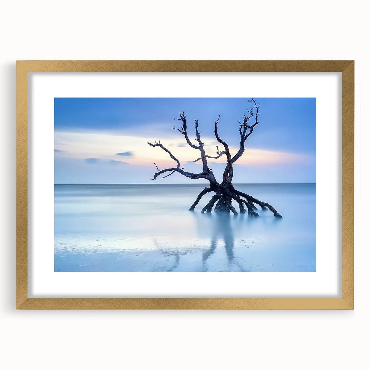 Driftwood Seascape - Fine Art Photography Framed Prints