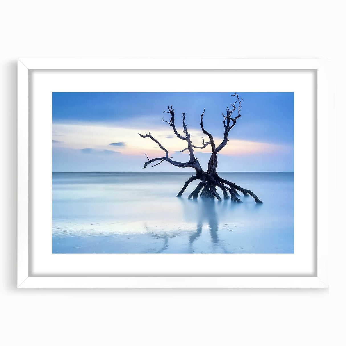 Driftwood Seascape - Fine Art Photography Framed Prints
