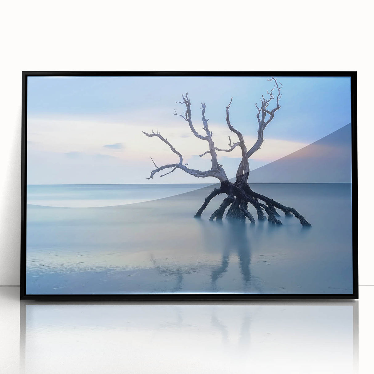 Driftwood Seascape - Fine Art Photography Framed Prints