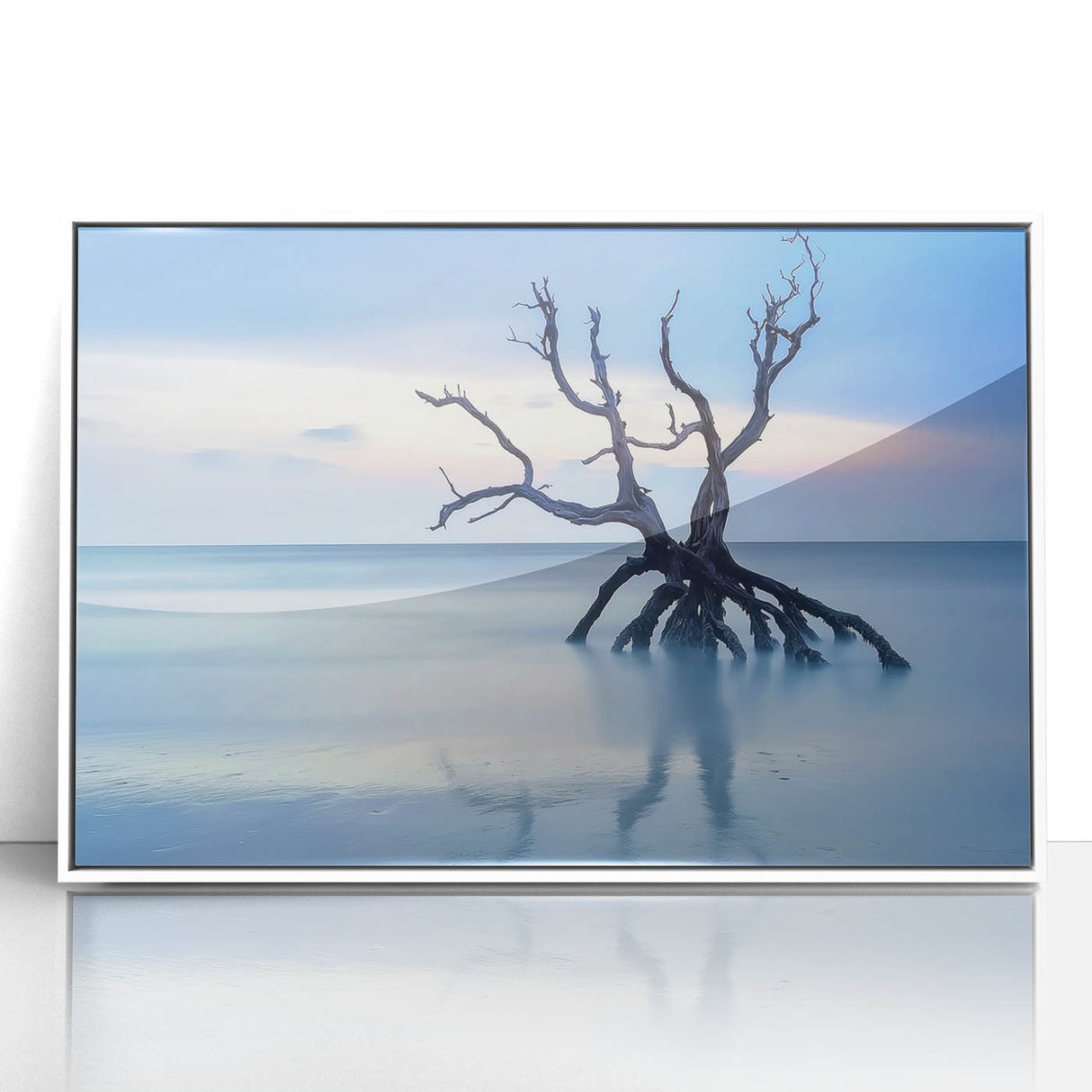 Driftwood Seascape - Fine Art Photography Framed Prints