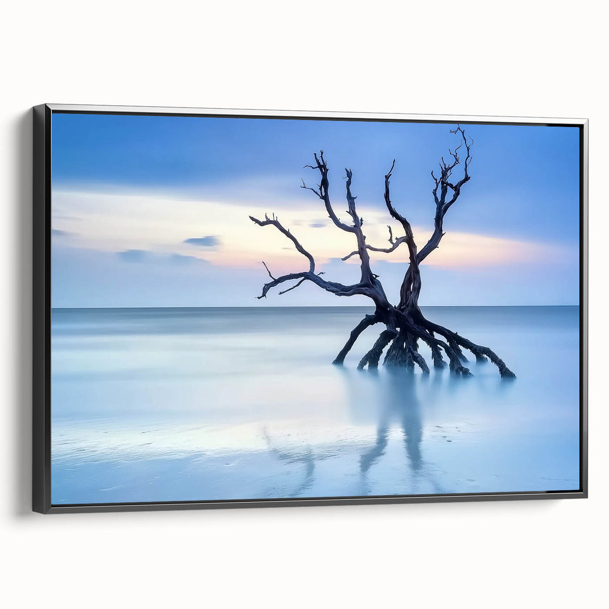 Driftwood Seascape - Fine Art Photography Framed Prints