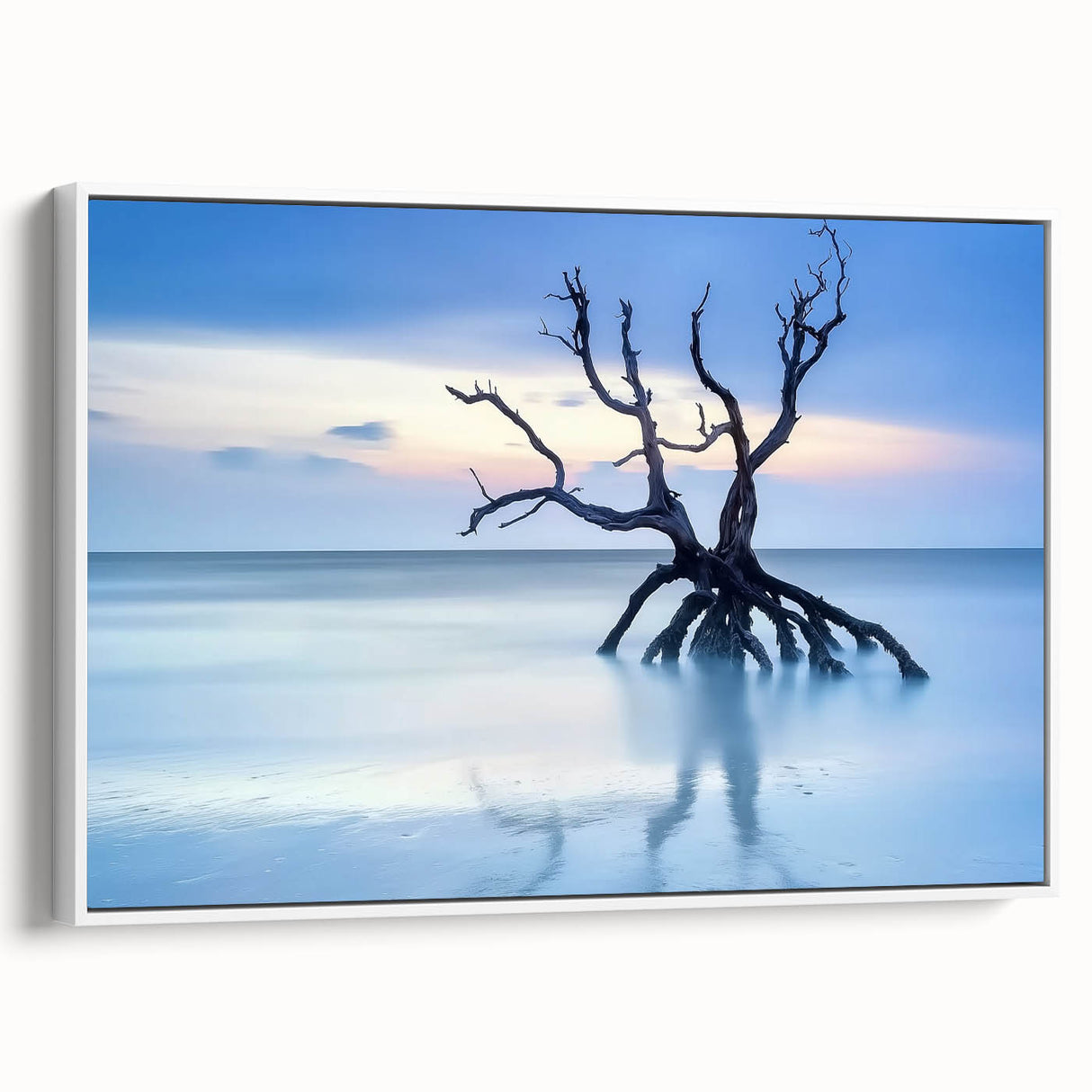 Driftwood Seascape - Fine Art Photography Framed Prints