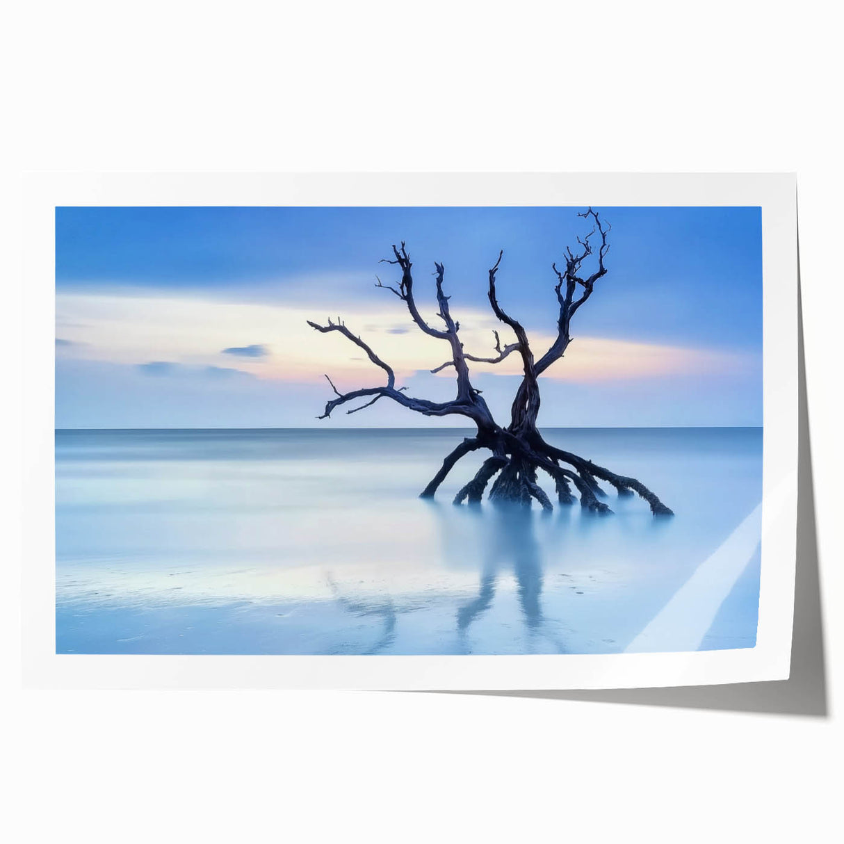 Driftwood Seascape - Fine Art Photography Framed Prints