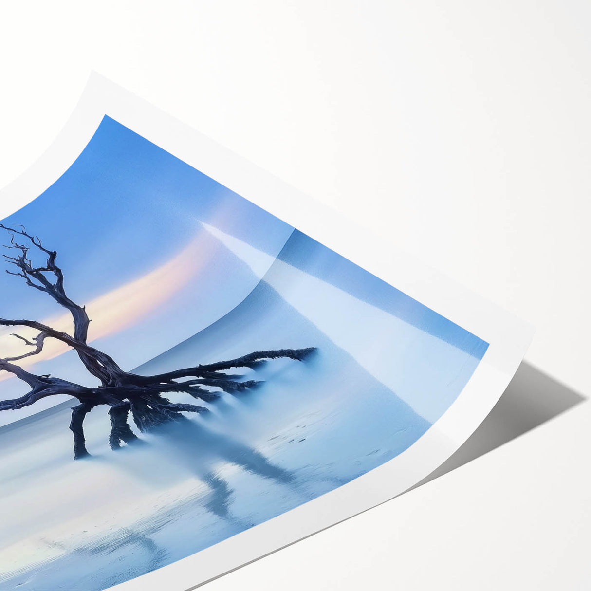 Driftwood Seascape - Fine Art Photography Framed Prints