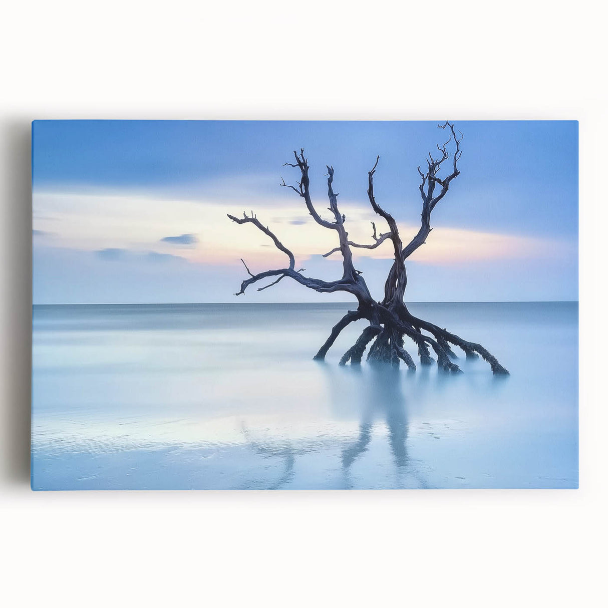 Driftwood Seascape - Fine Art Photography Framed Prints
