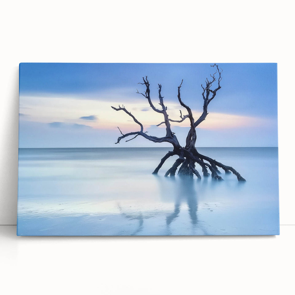 Driftwood Seascape - Fine Art Photography Framed Prints