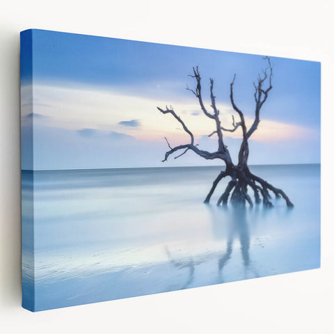 Driftwood Seascape - Fine Art Photography Framed Prints