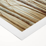 Peaceful Scenery Framed Art – Calming Forest Landscape Canvas