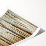 Peaceful Scenery Framed Art – Calming Forest Landscape Canvas