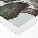 Zen Garden Wall Art – Serene Landscape Photography Print