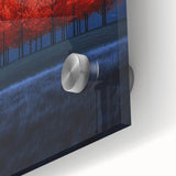 Vibrant Red Trees - Fine Art Photography Canvas Prints